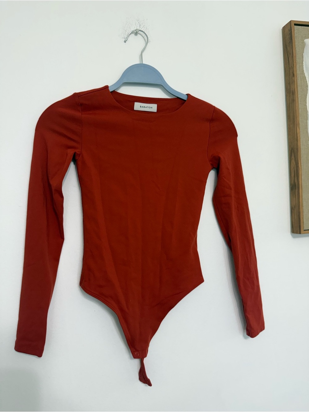 Babaton Women's Long-Sleeve Bodysuit in Rust Red